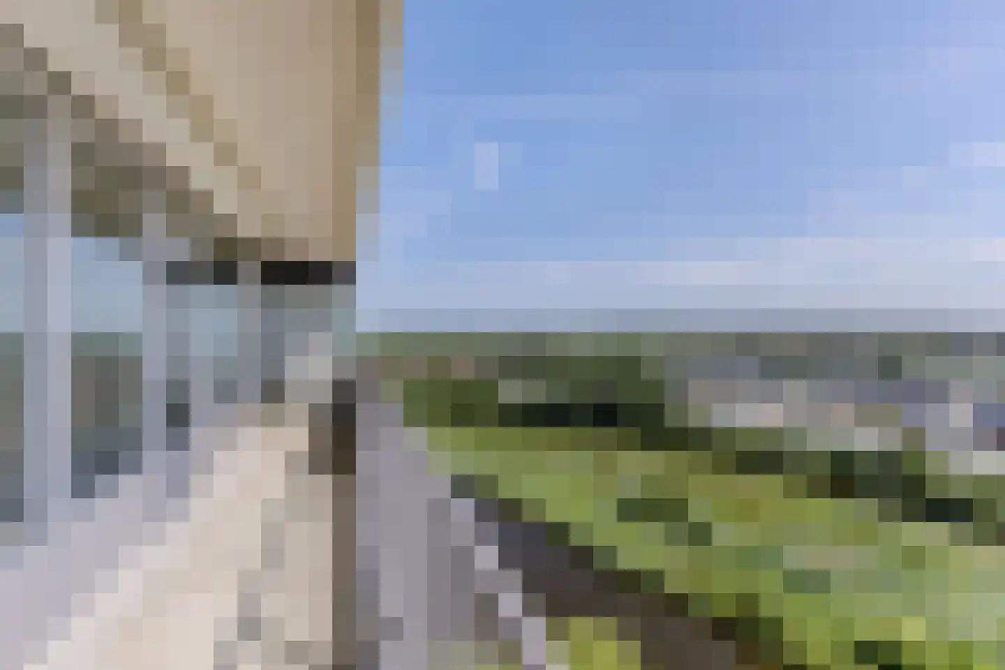 Oost-Dorsch 142 Zaandam thumbnail 4