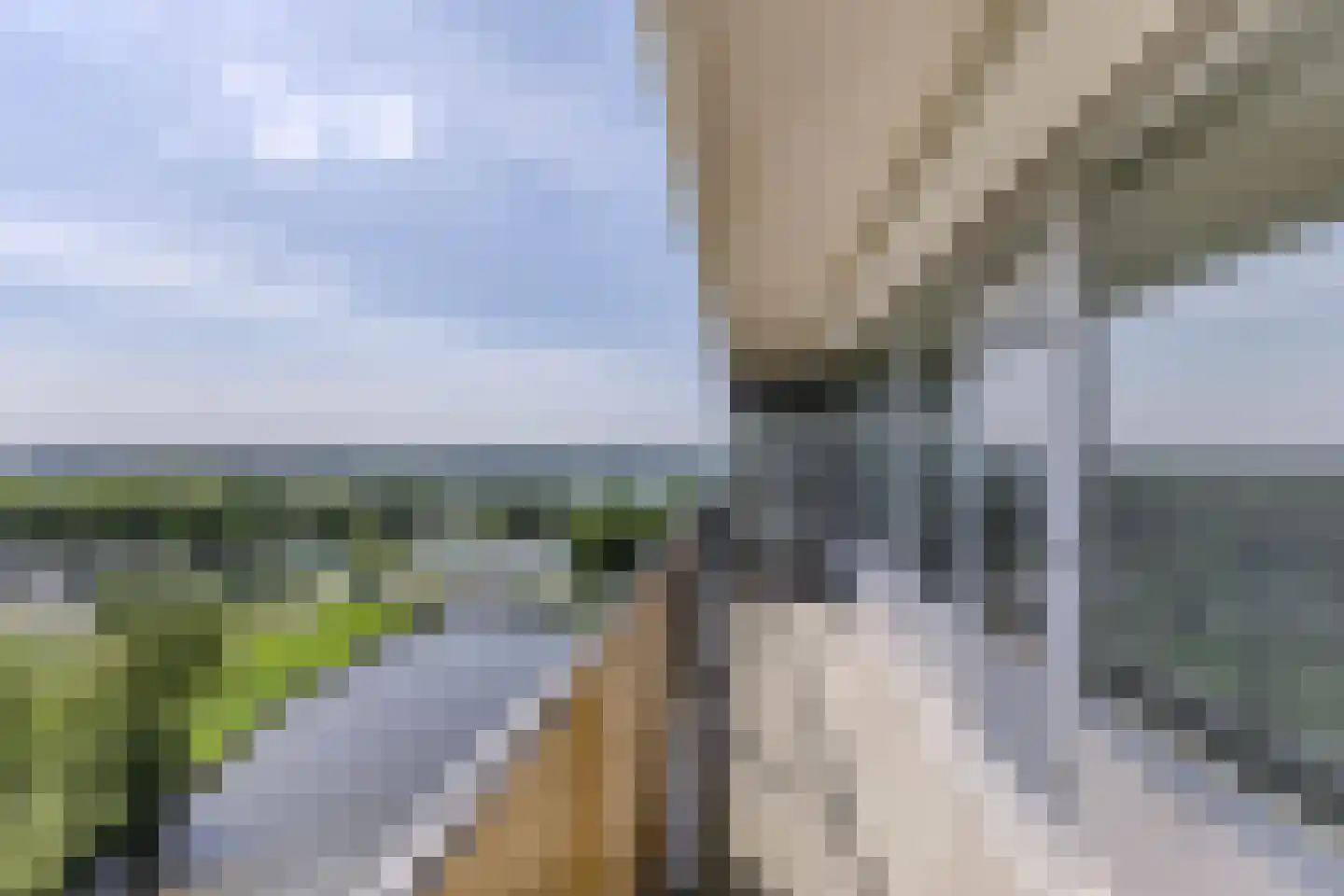 Oost-Dorsch 142 Zaandam thumbnail 5