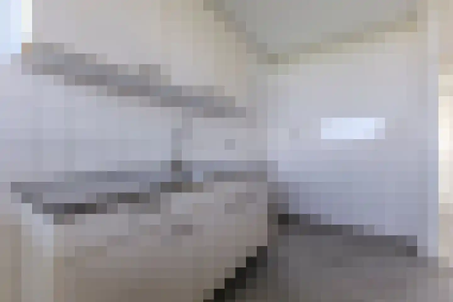 Oost-Dorsch 142 Zaandam thumbnail 8