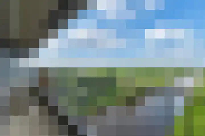 Oost-Dorsch 147 Zaandam thumbnail 14