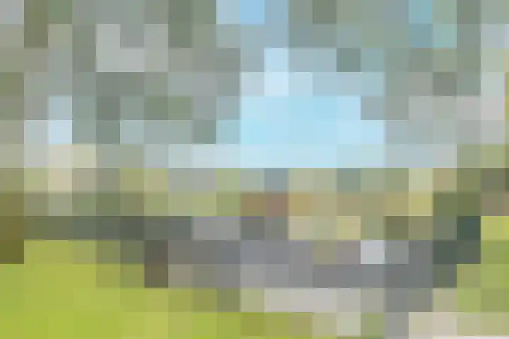 Oost-Dorsch 147 Zaandam thumbnail 19