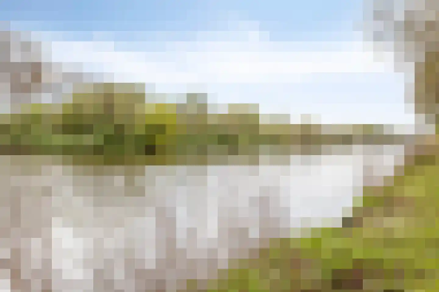 Oost-Dorsch 153 Zaandam thumbnail 25