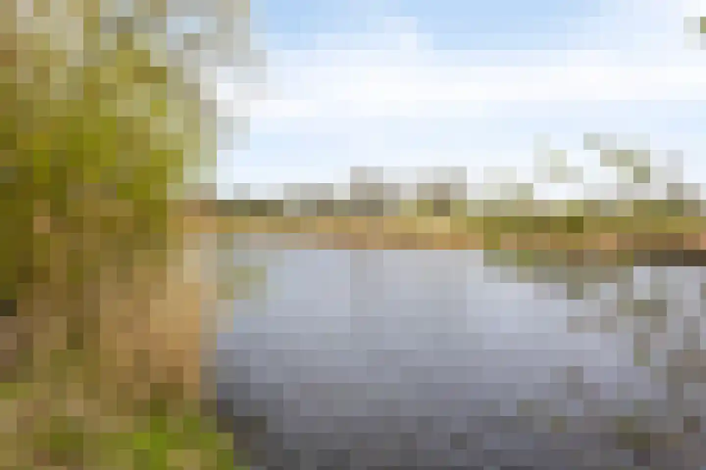 Oost-Dorsch 153 Zaandam thumbnail 26
