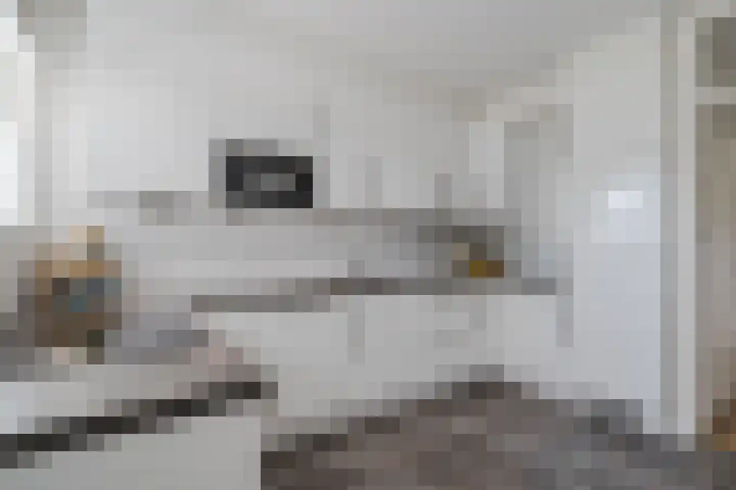 Oost-Dorsch 17 Zaandam thumbnail 22
