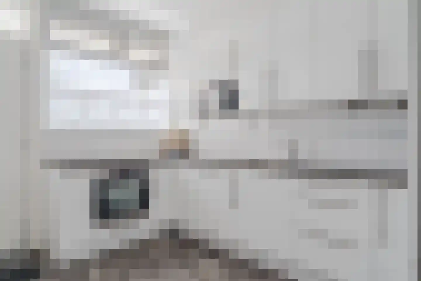 Oost-Dorsch 17 Zaandam thumbnail 4