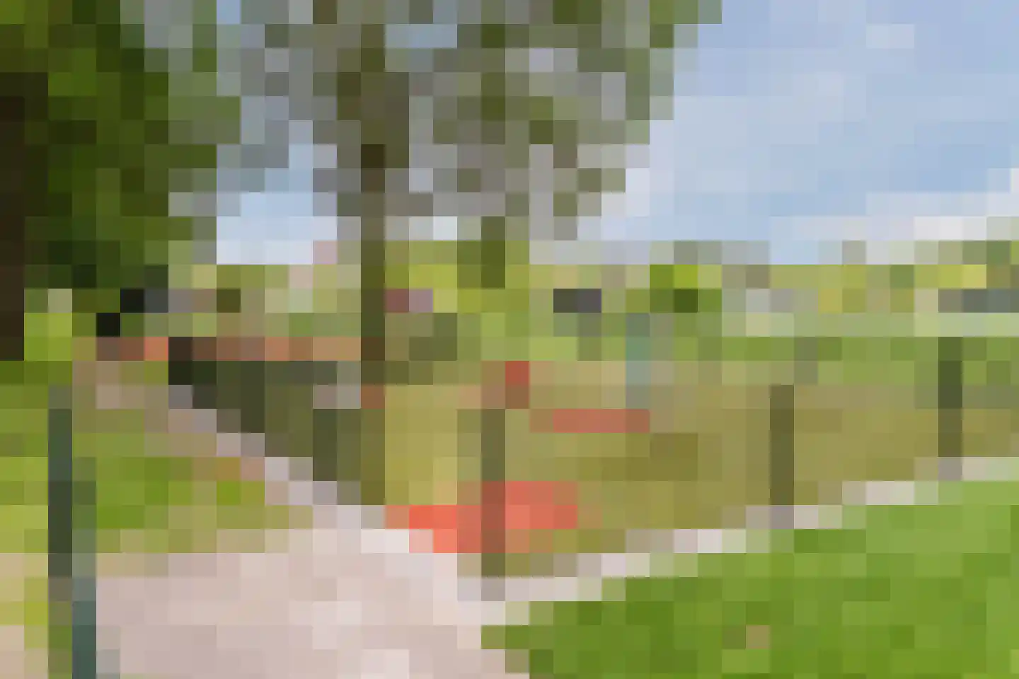 Oost-Dorsch 17 Zaandam thumbnail 40