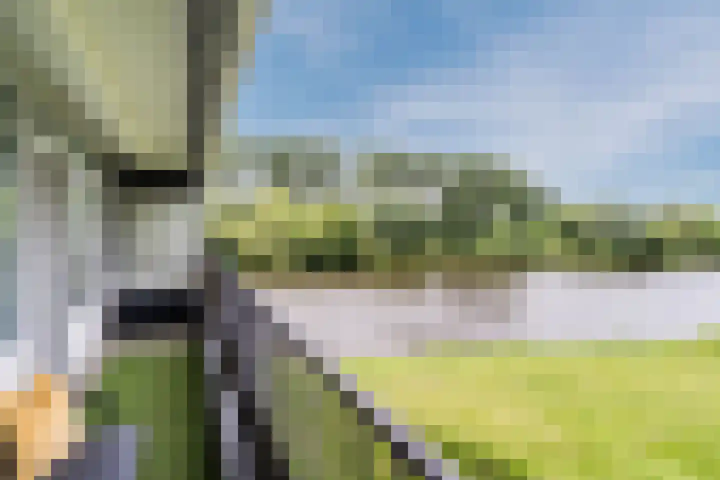 Oost-Dorsch 17 Zaandam thumbnail 8