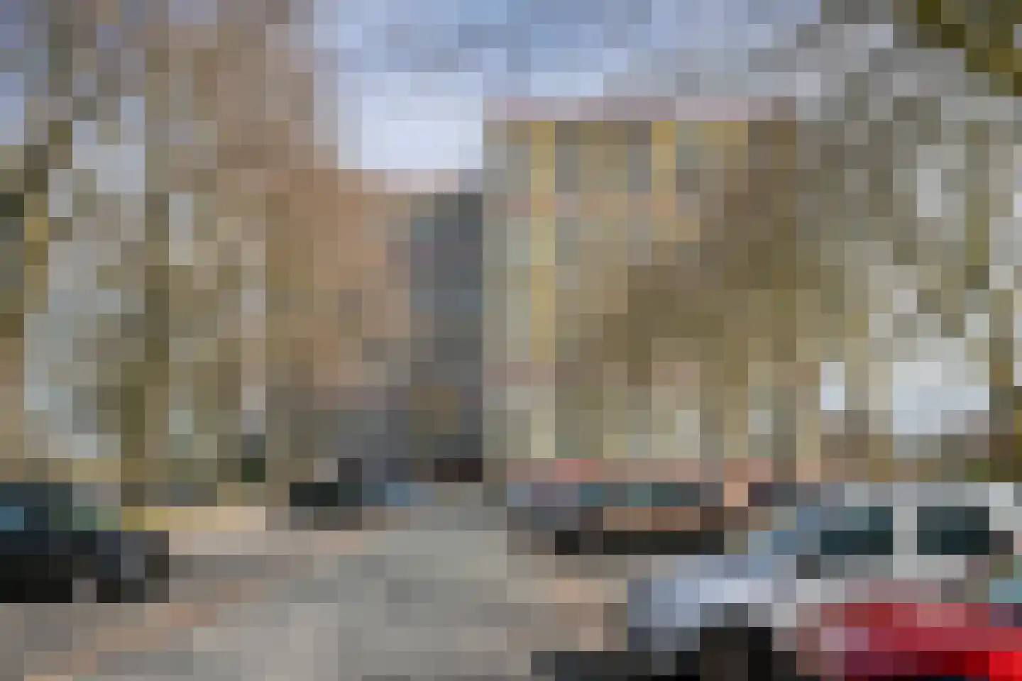 Oost-Dorsch 18 Zaandam thumbnail 23