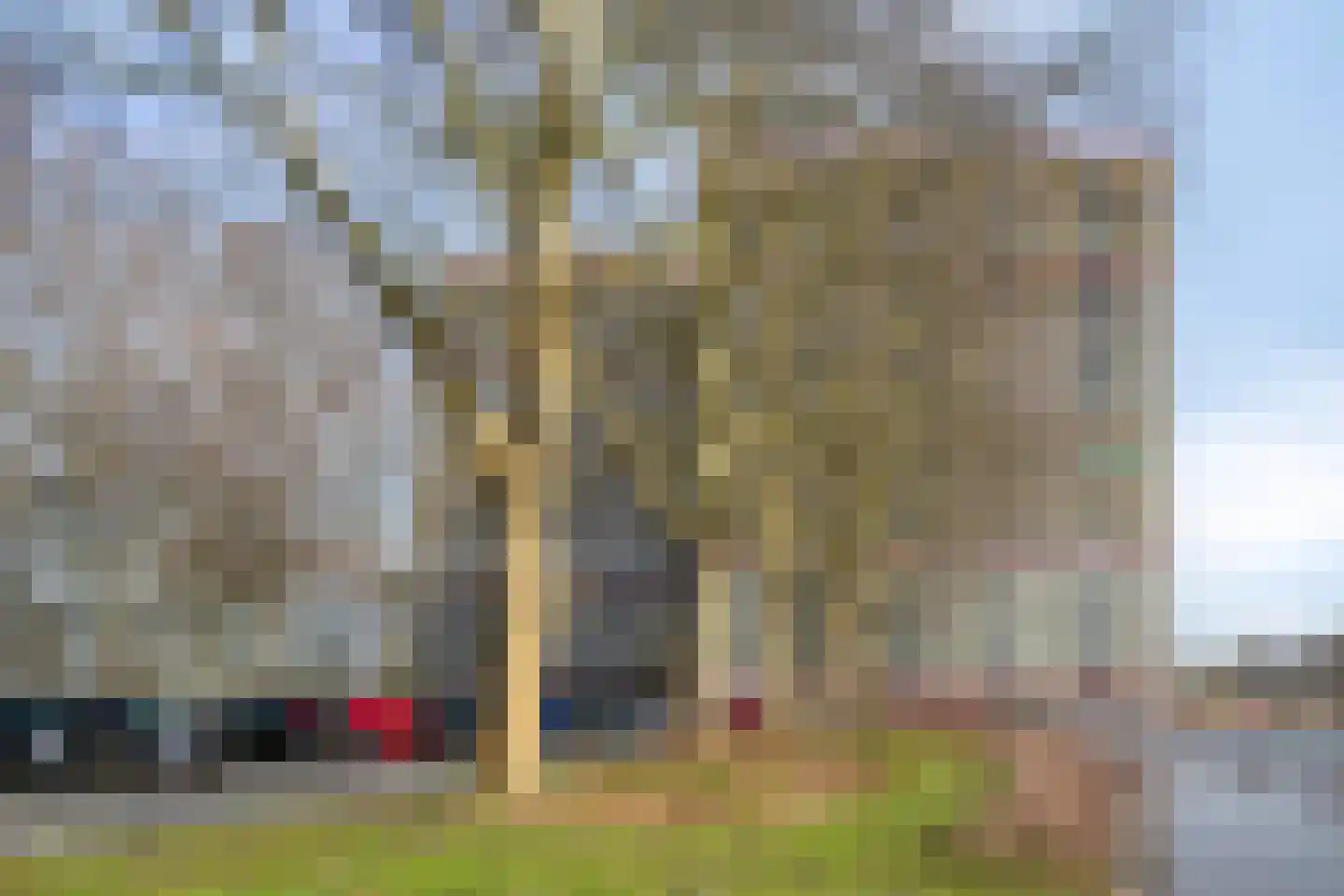 Oost-Dorsch 18 Zaandam thumbnail 24