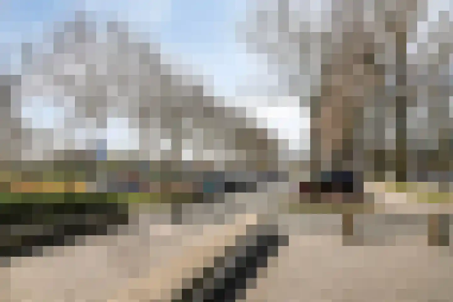 Oost-Dorsch 18 Zaandam thumbnail 29