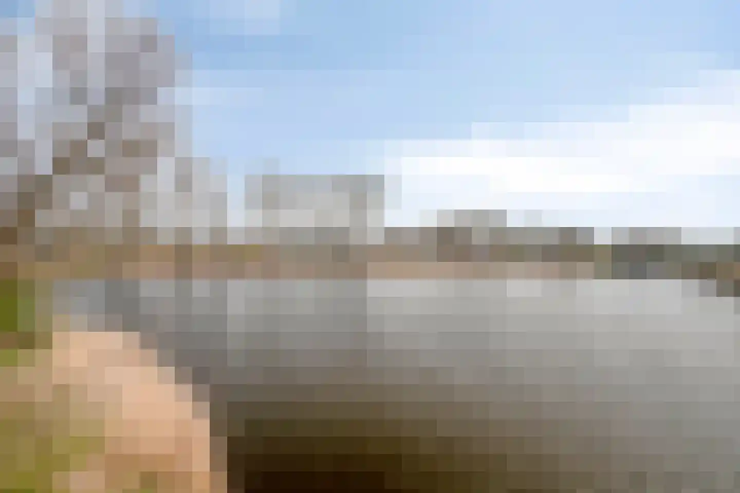Oost-Dorsch 18 Zaandam thumbnail 32