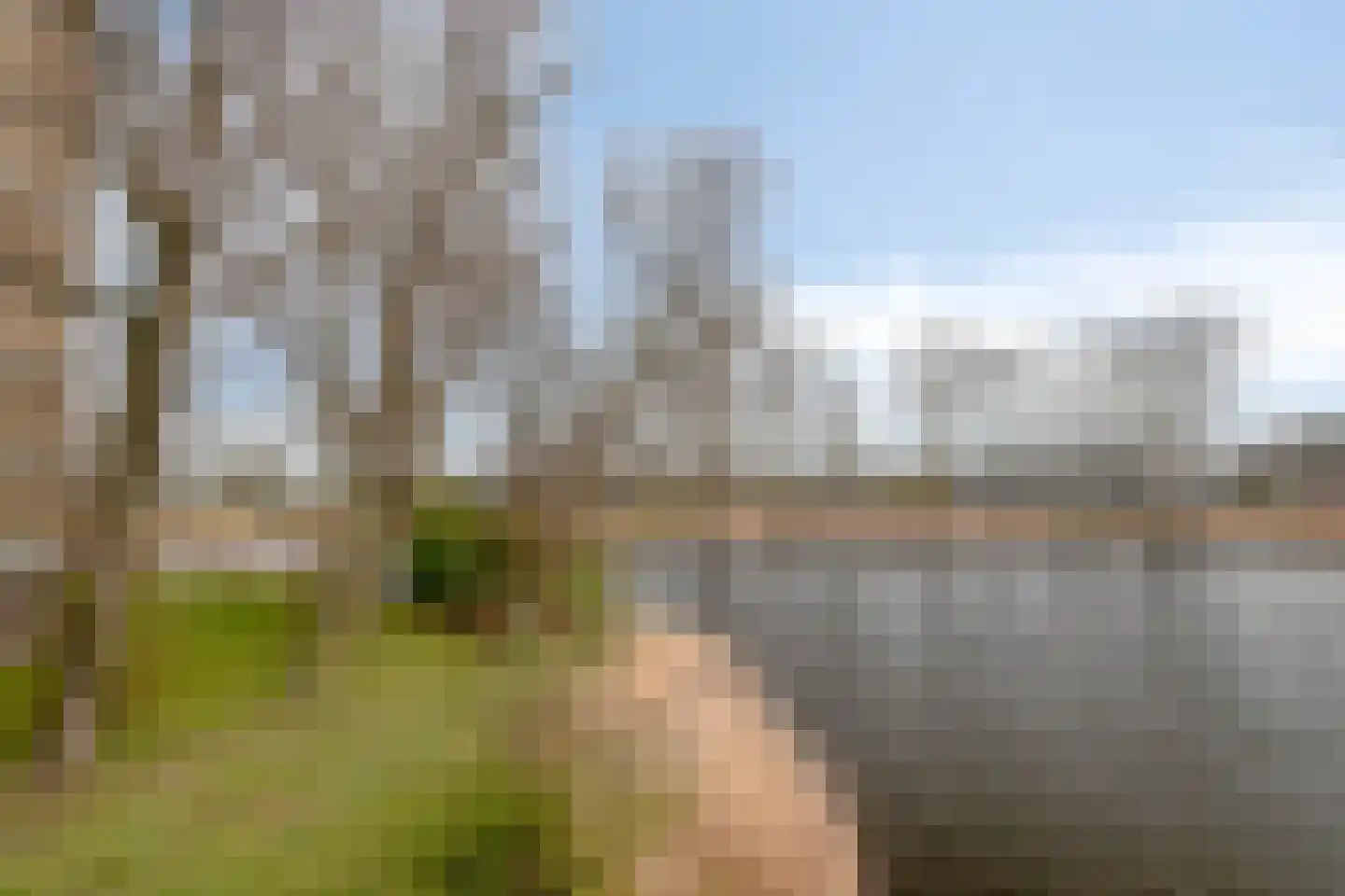 Oost-Dorsch 18 Zaandam thumbnail 33