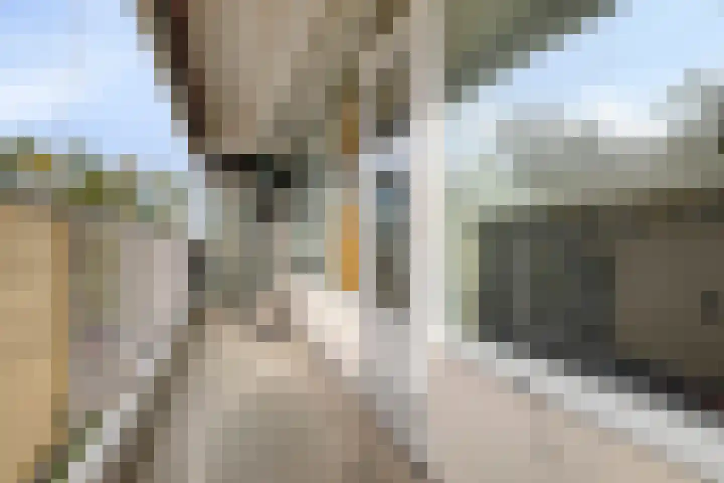 Oost-Dorsch 37 Zaandam thumbnail 13