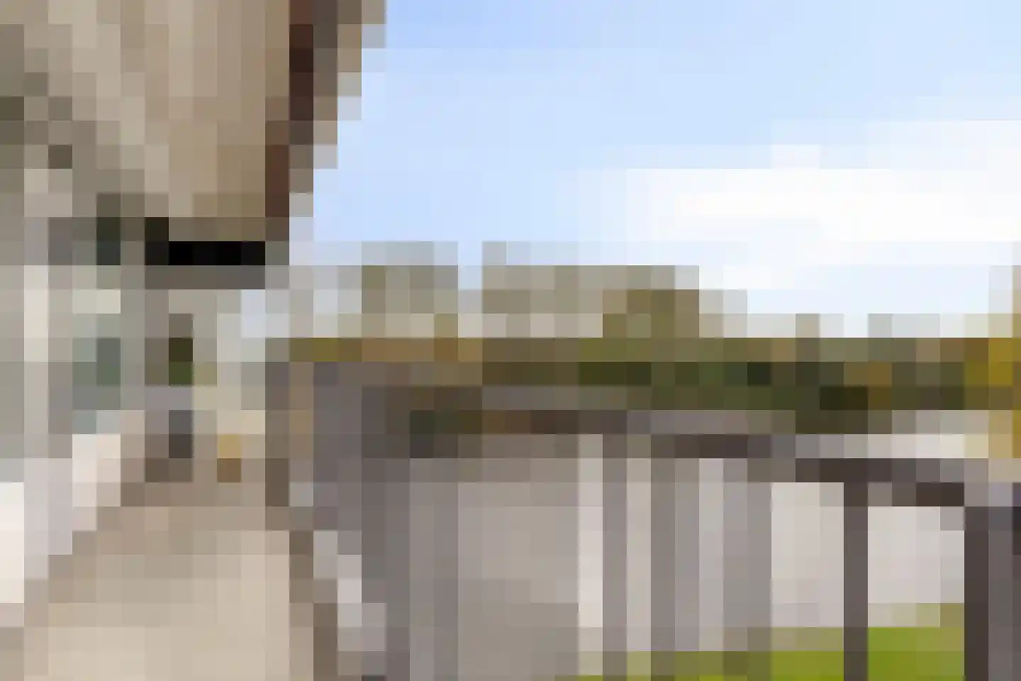 Oost-Dorsch 37 Zaandam thumbnail 16