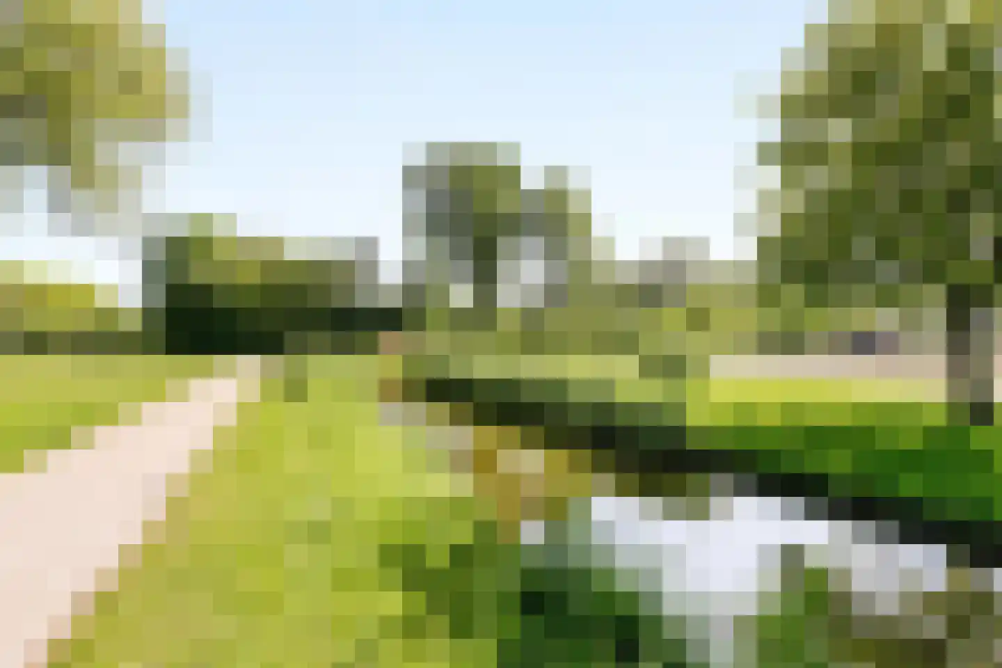 Oost-Dorsch 37 Zaandam thumbnail 22