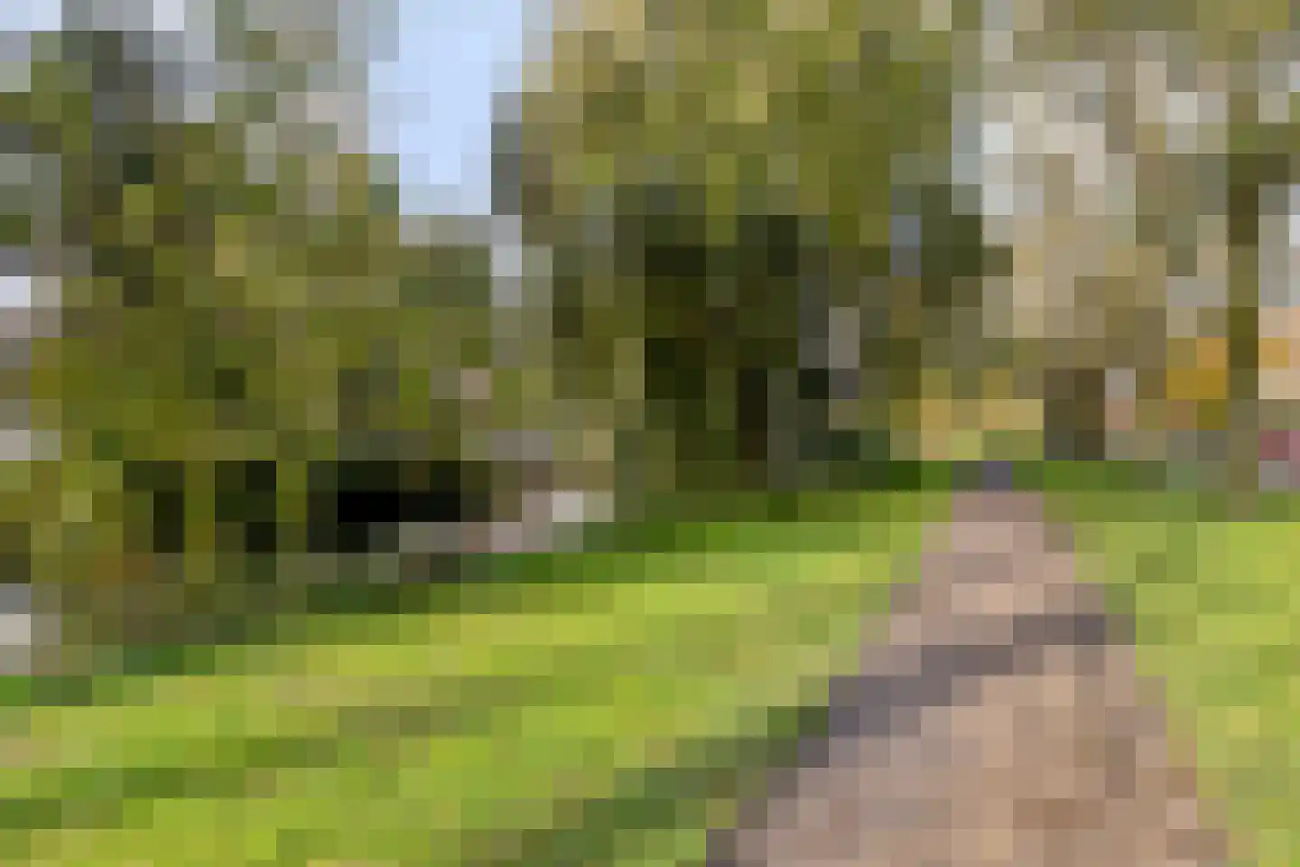 Oost-Dorsch 37 Zaandam thumbnail 25