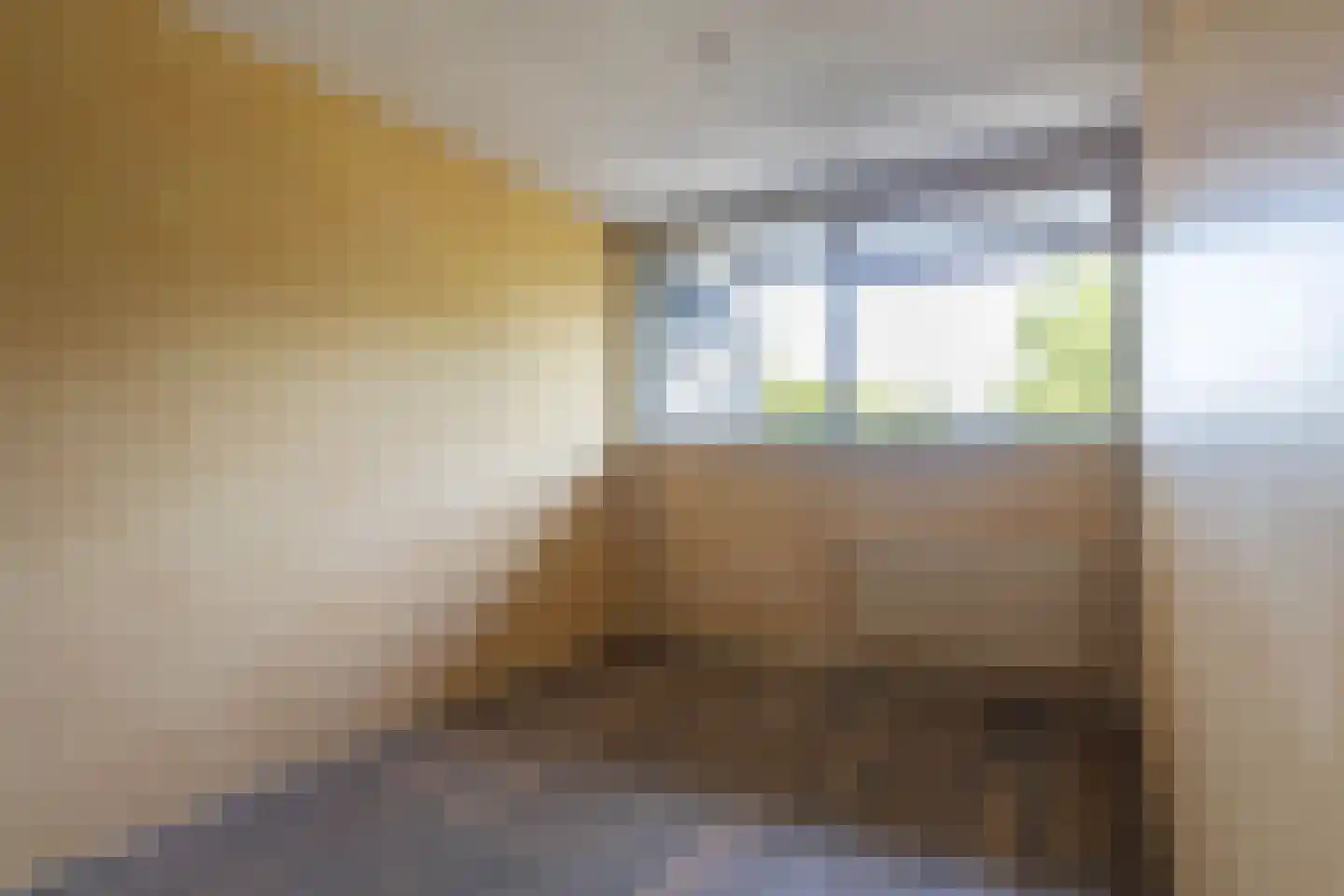 Oost-Dorsch 42 Zaandam thumbnail 12