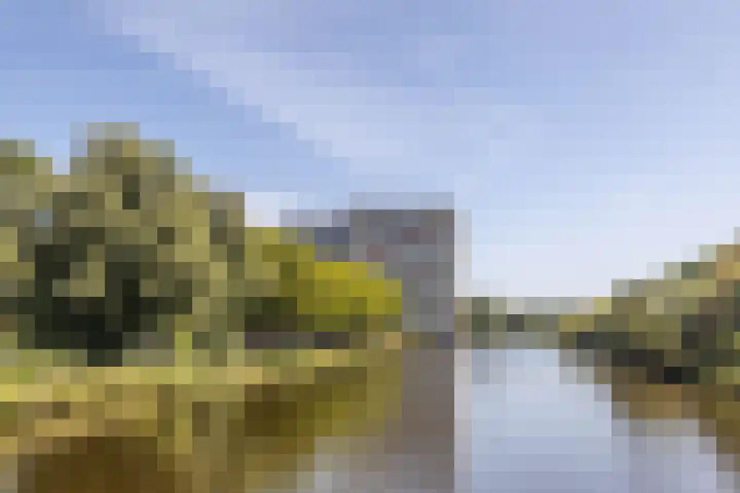 Oost-Dorsch 42 Zaandam thumbnail 6