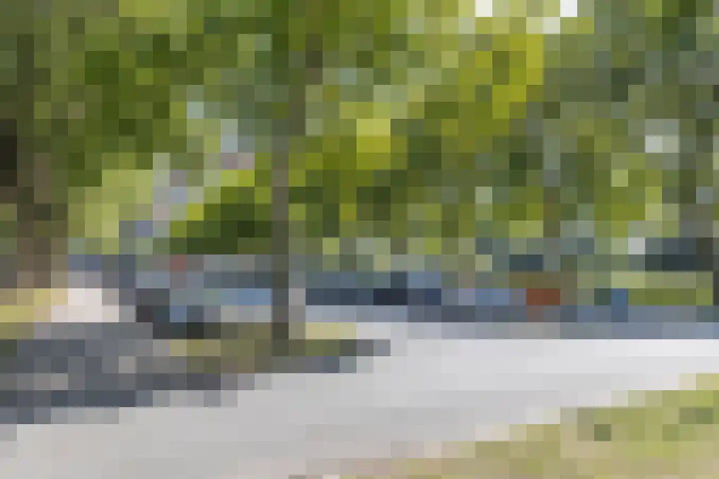 Oost-Dorsch 42 Zaandam thumbnail 7