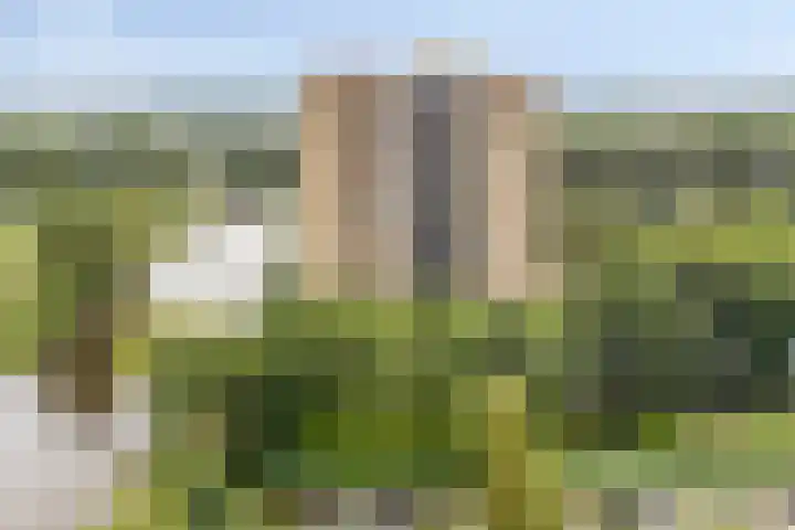 Oost-Dorsch 77 Zaandam thumbnail 29