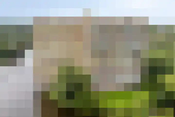 Oost-Dorsch 77 Zaandam thumbnail 33