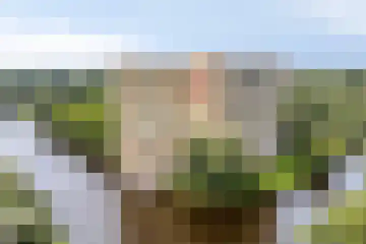 Oost-Dorsch 77 Zaandam thumbnail 35