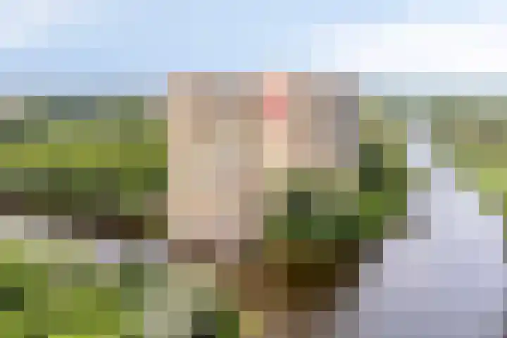 Oost-Dorsch 77 Zaandam thumbnail 36