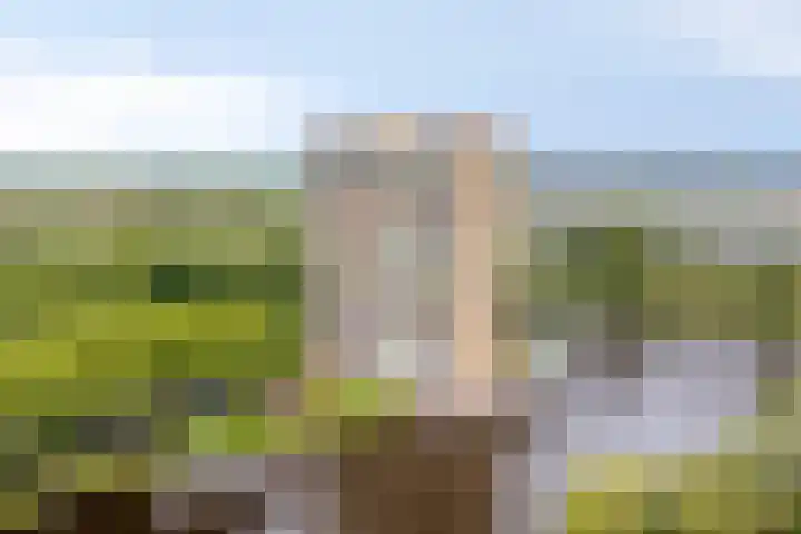 Oost-Dorsch 77 Zaandam thumbnail 38