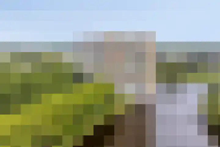 Oost-Dorsch 77 Zaandam thumbnail 39