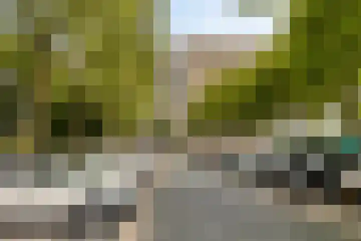 Oost-Dorsch 77 Zaandam thumbnail 41