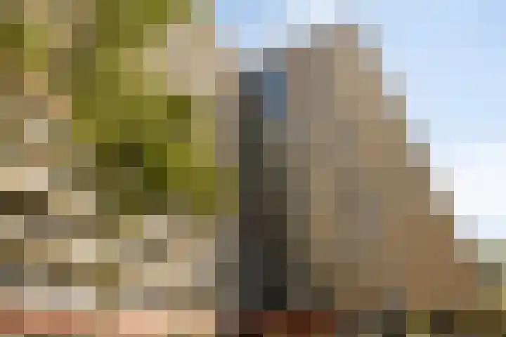 Oost-Dorsch 77 Zaandam thumbnail 42