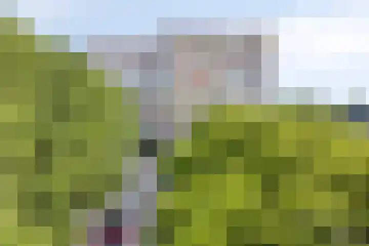Oost-Dorsch 77 Zaandam thumbnail 43