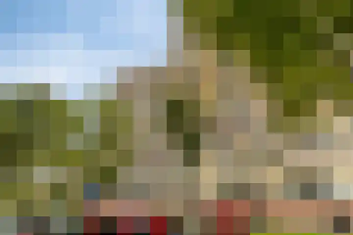 Oost-Dorsch 77 Zaandam thumbnail 44