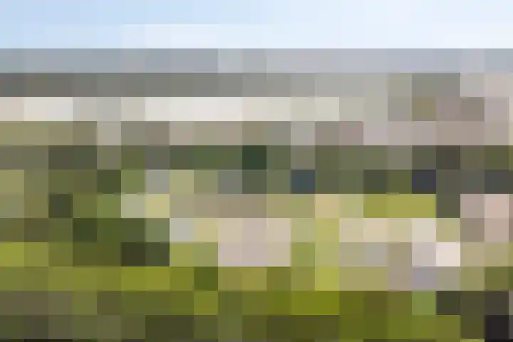 Oost-Dorsch 77 Zaandam thumbnail 45