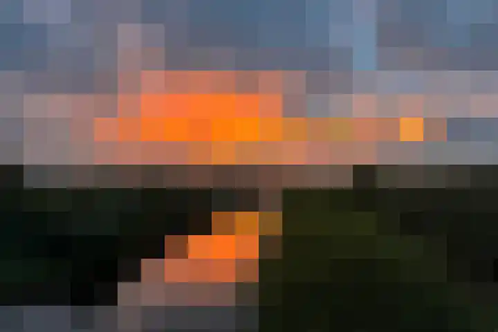 Oost-Dorsch 87 Zaandam thumbnail 6