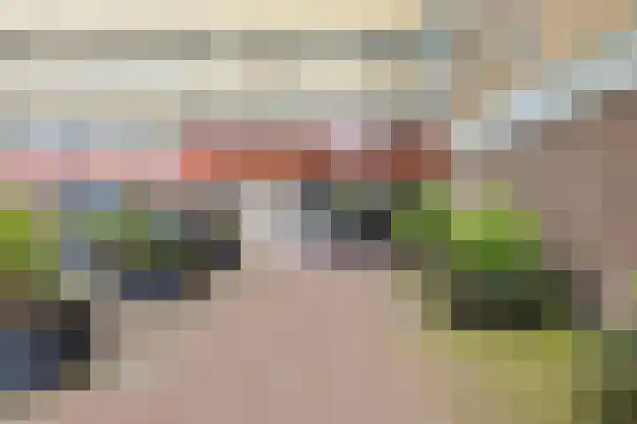 Oost-Dorsch 87 Zaandam thumbnail 8