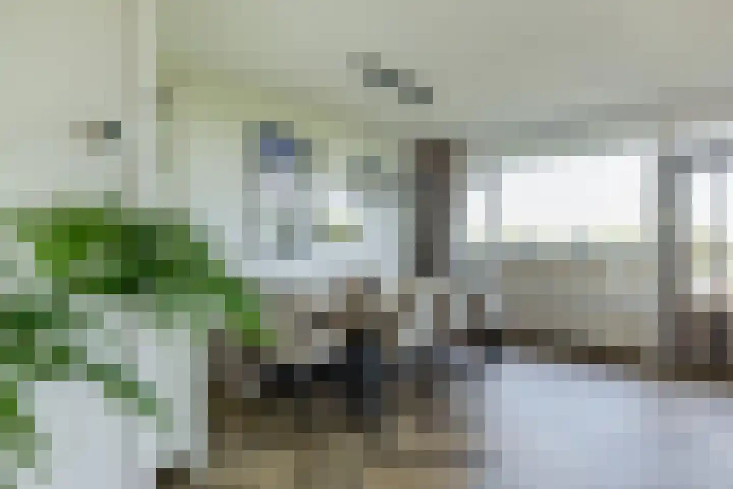 Oost-Dorsch 89 Zaandam thumbnail 10