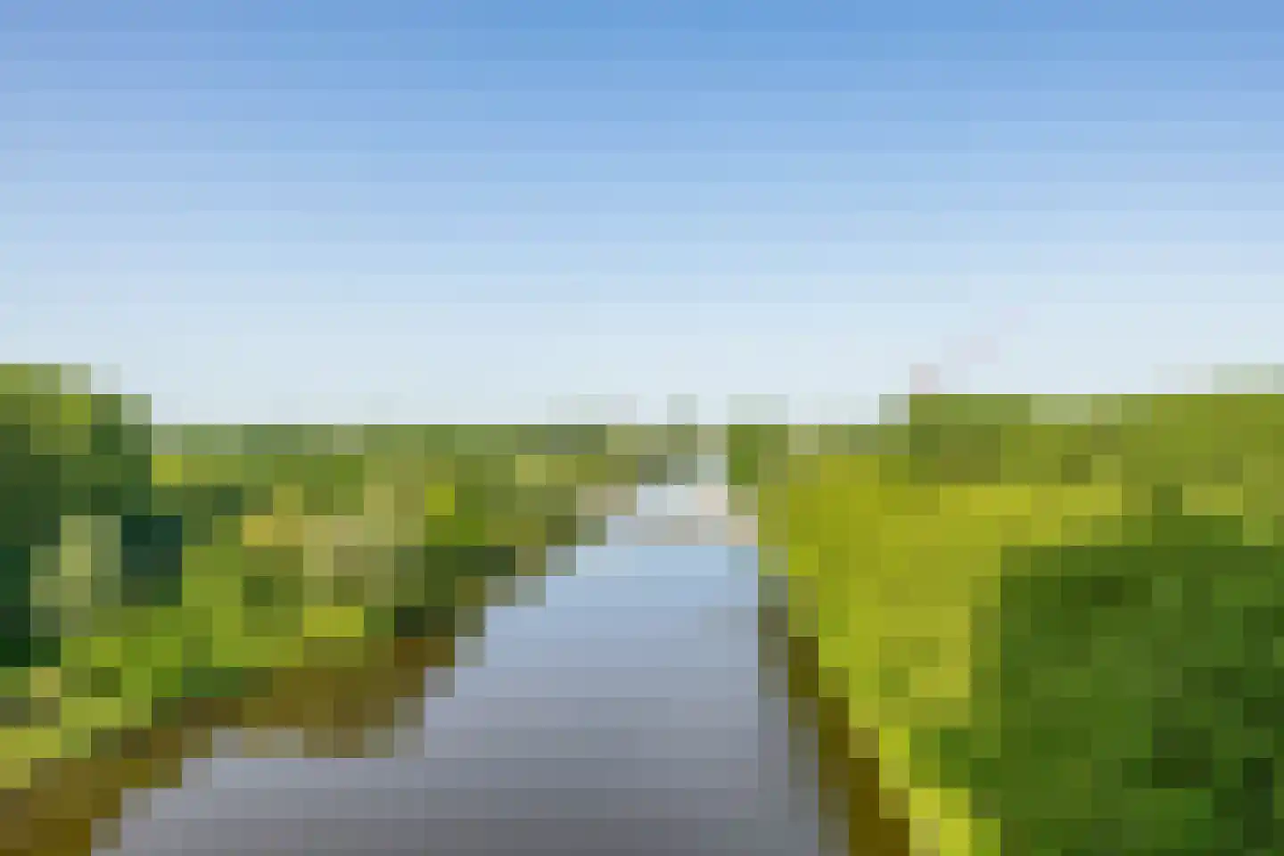Oost-Dorsch 89 Zaandam thumbnail 30