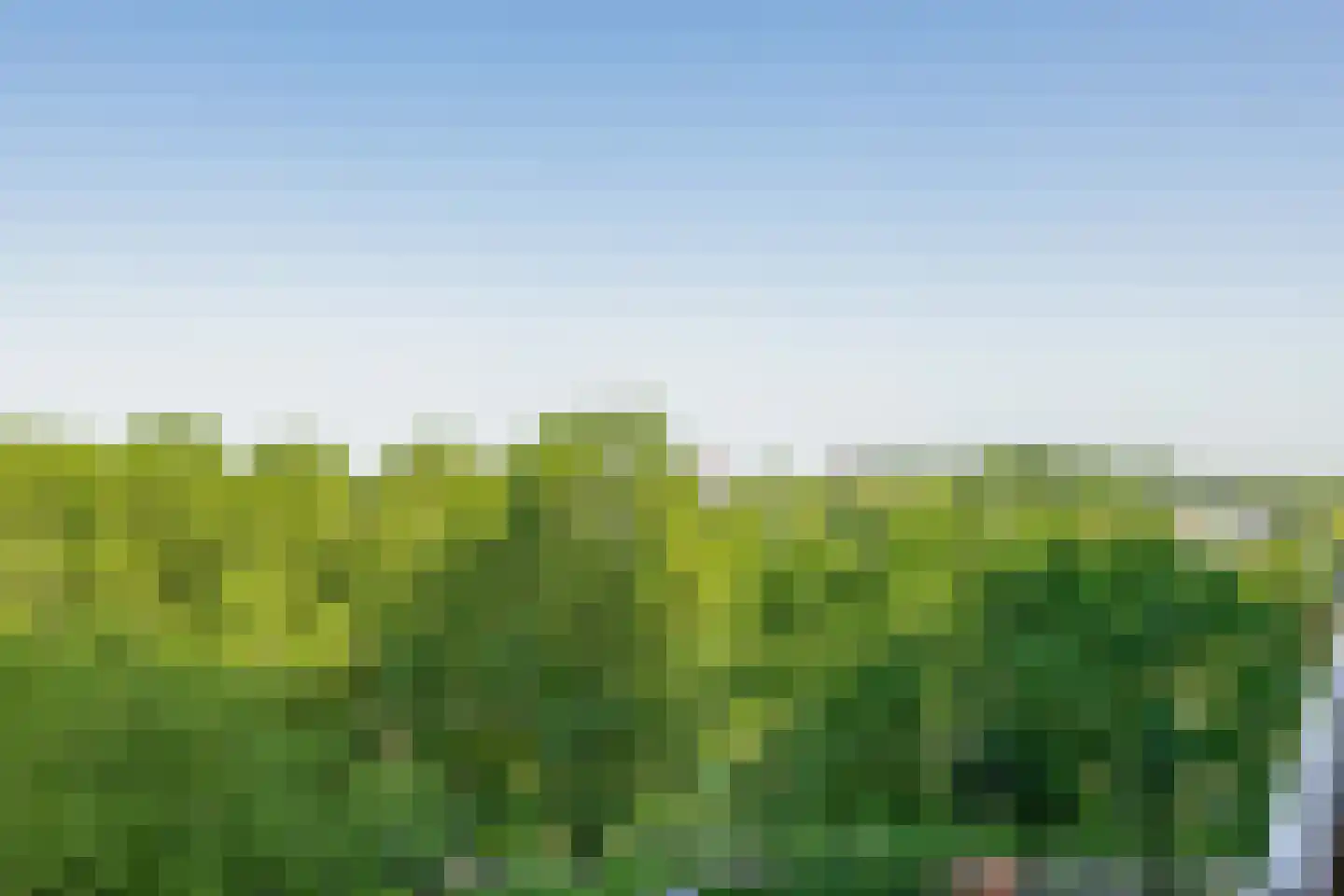 Oost-Dorsch 89 Zaandam thumbnail 31