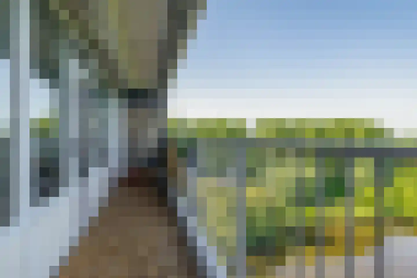 Oost-Dorsch 89 Zaandam thumbnail 33
