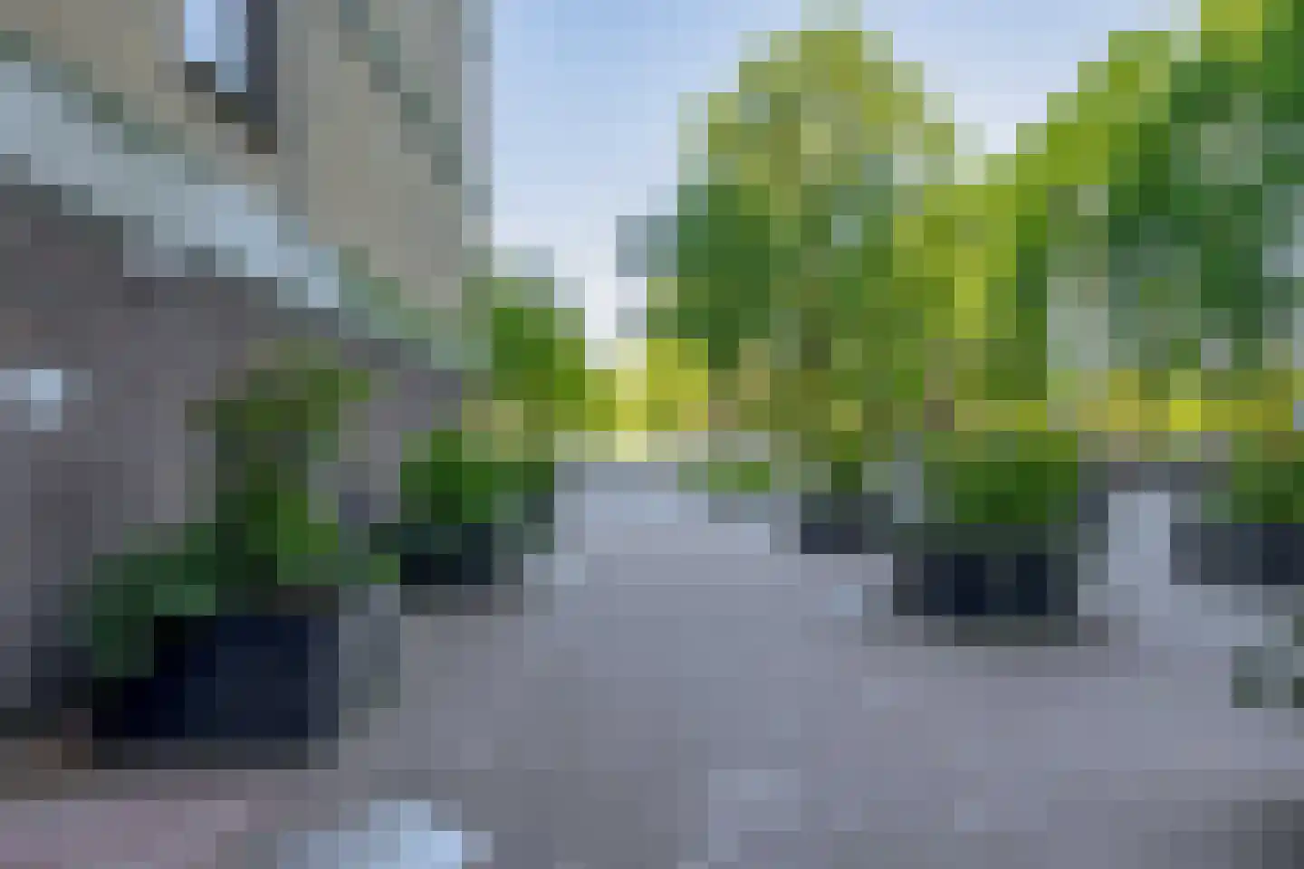 Oost-Dorsch 89 Zaandam thumbnail 36