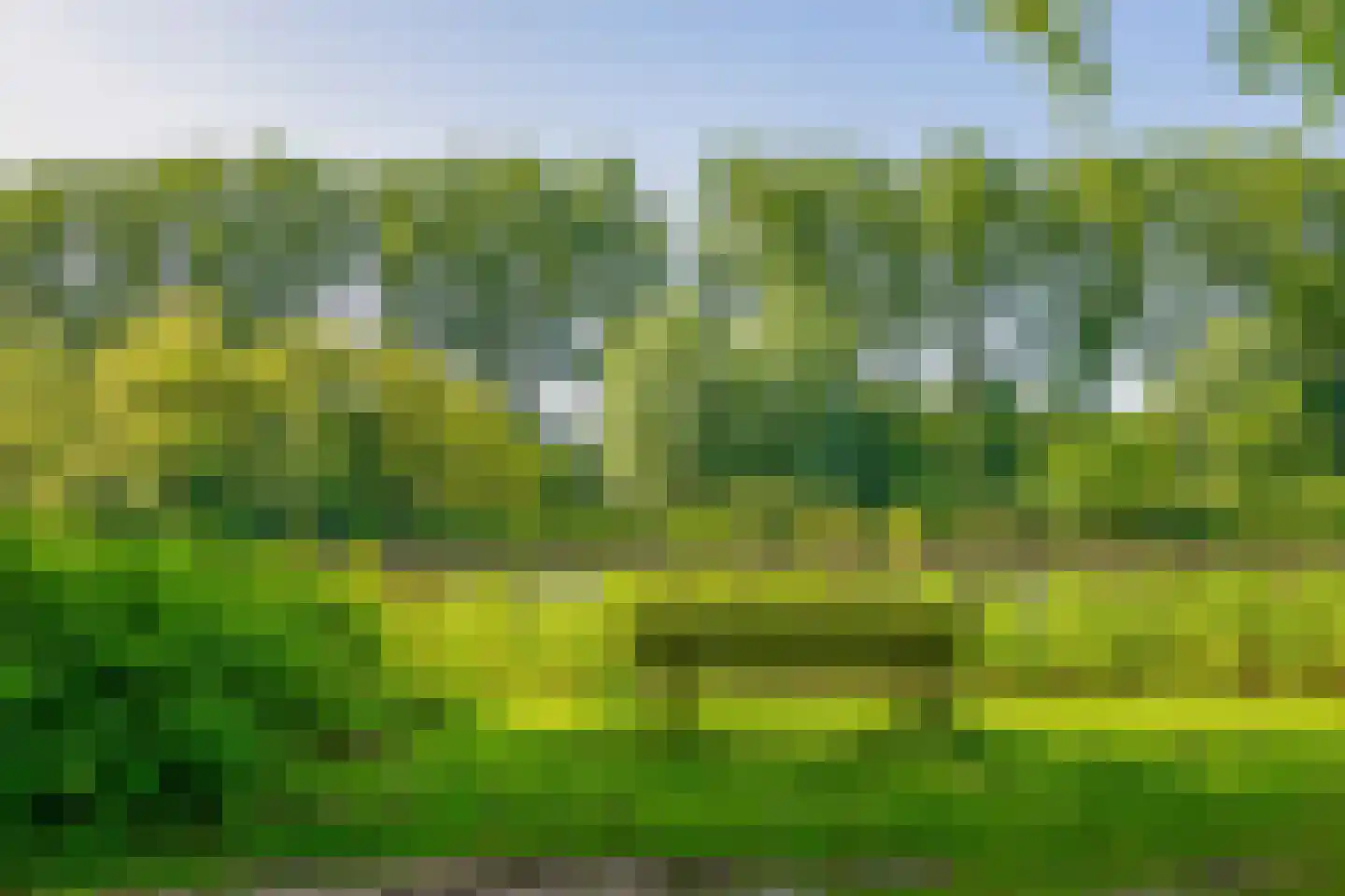Oost-Dorsch 89 Zaandam thumbnail 37