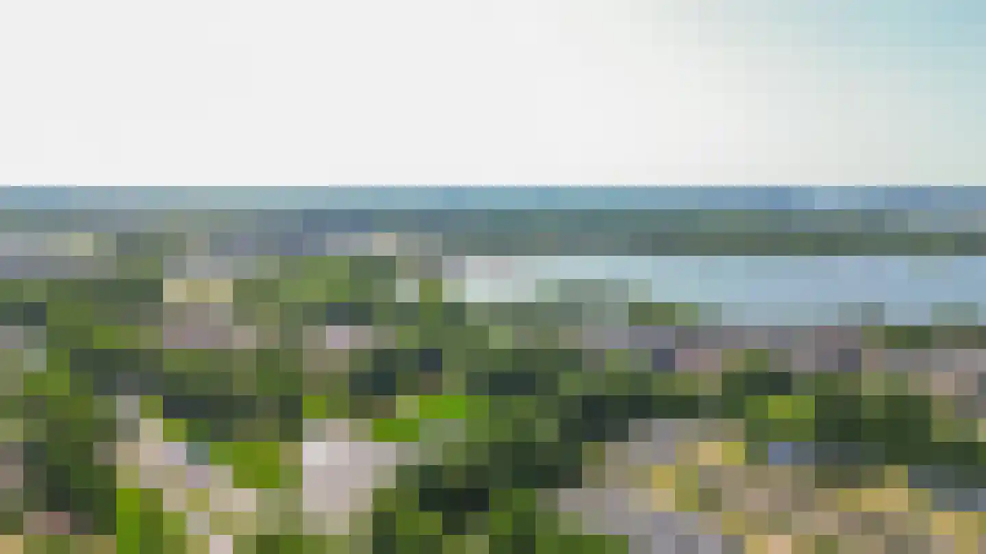 Oost-Dorsch 89 Zaandam thumbnail 41