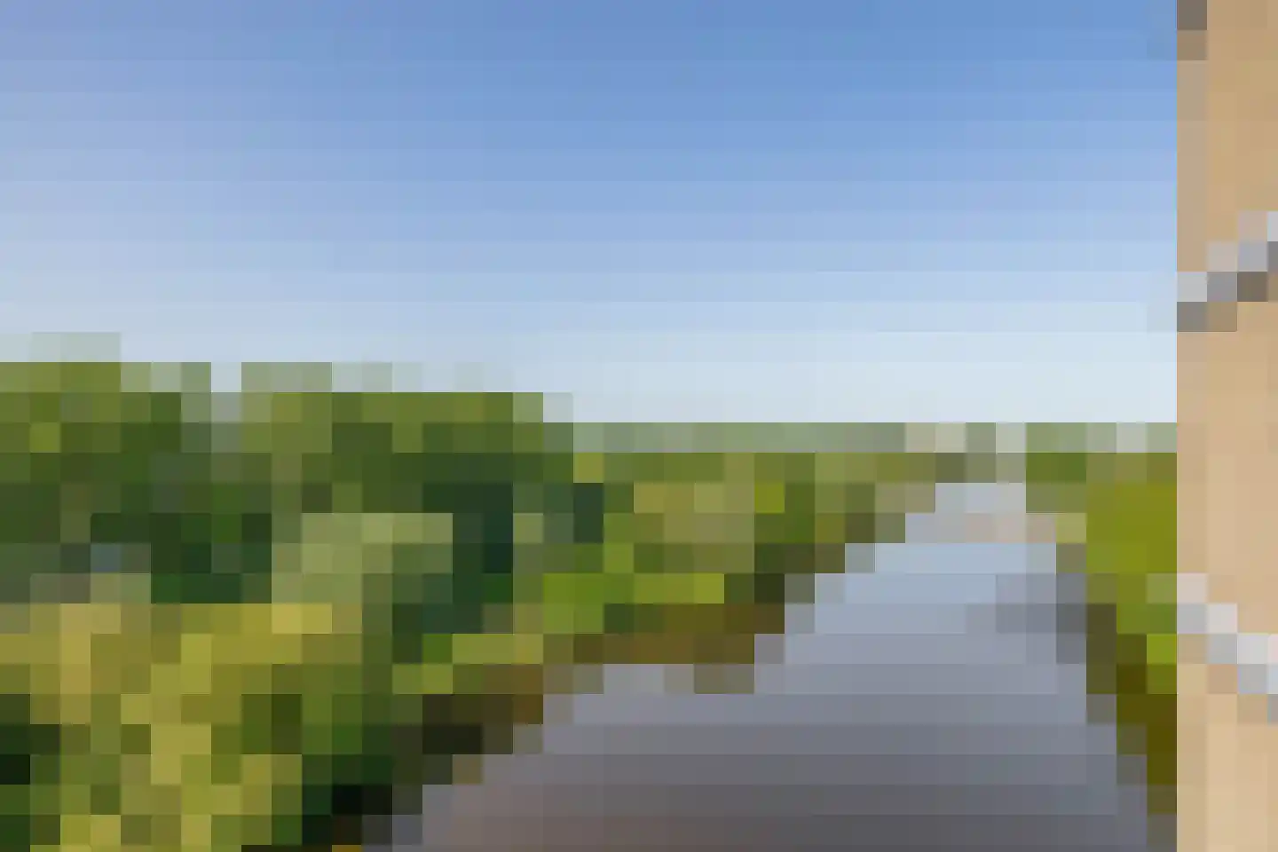 Oost-Dorsch 89 Zaandam thumbnail 5