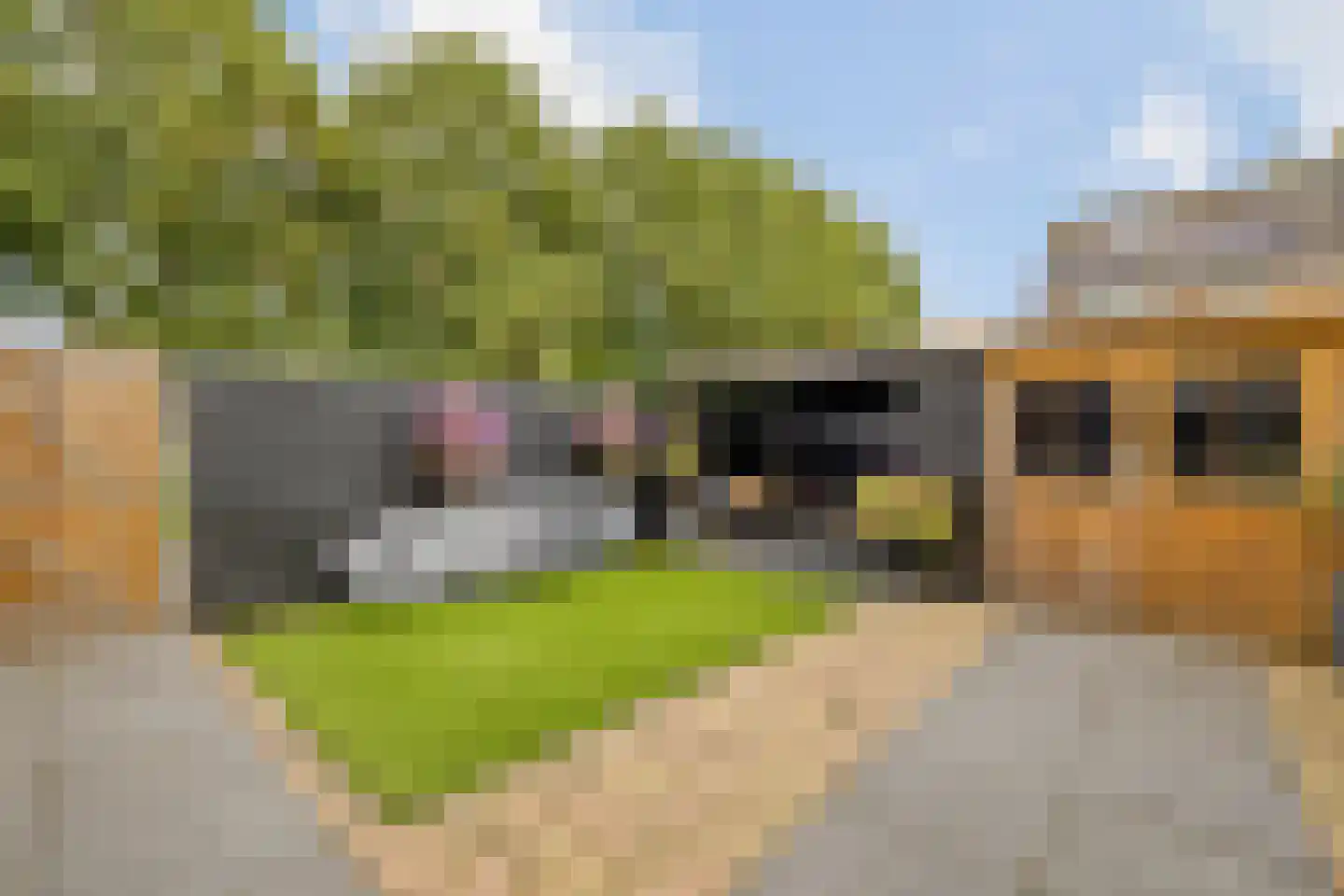 Oost en Vecht 24 Nigtevecht thumbnail 18