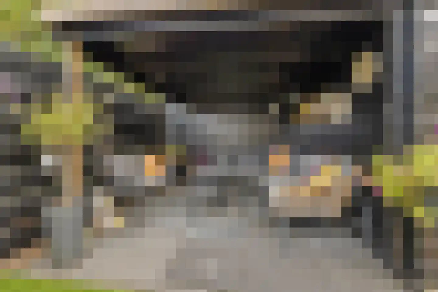 Oost en Vecht 24 Nigtevecht thumbnail 19