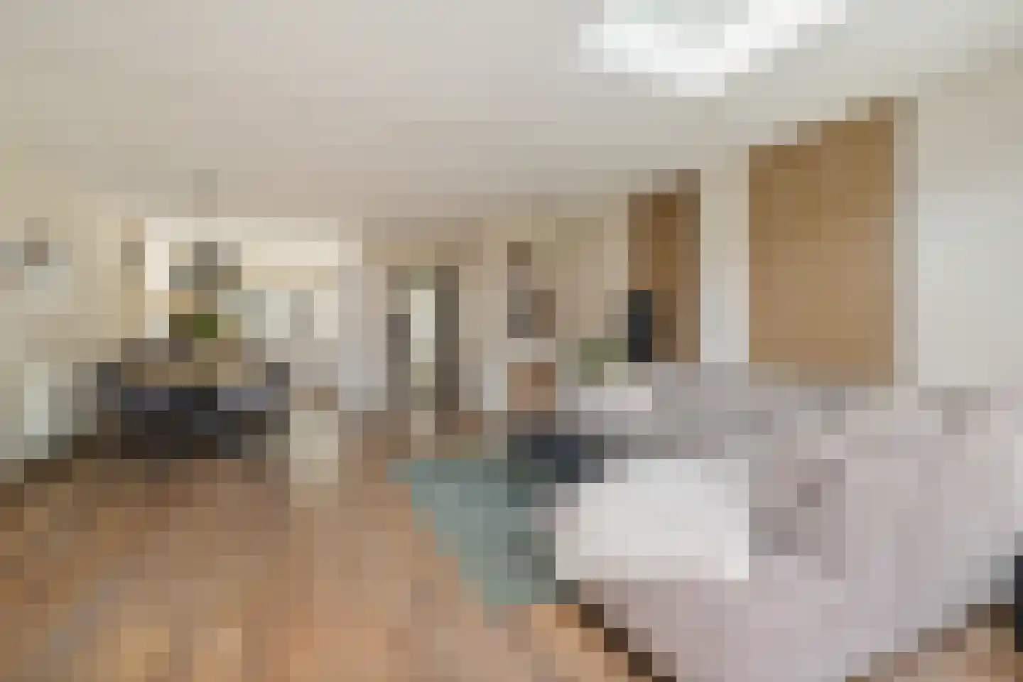 Oost en Vecht 24 Nigtevecht thumbnail 22