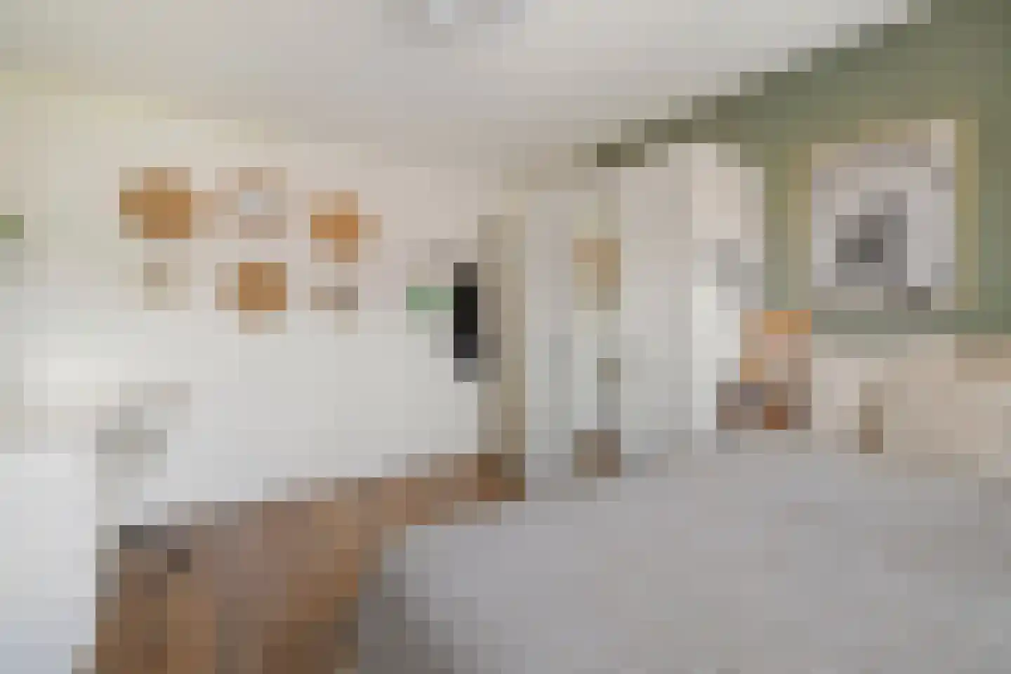 Oost en Vecht 24 Nigtevecht thumbnail 26