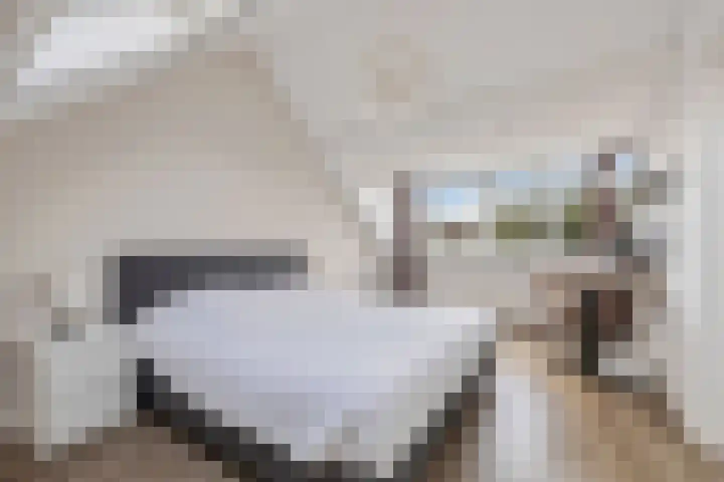 Oost en Vecht 24 Nigtevecht thumbnail 34