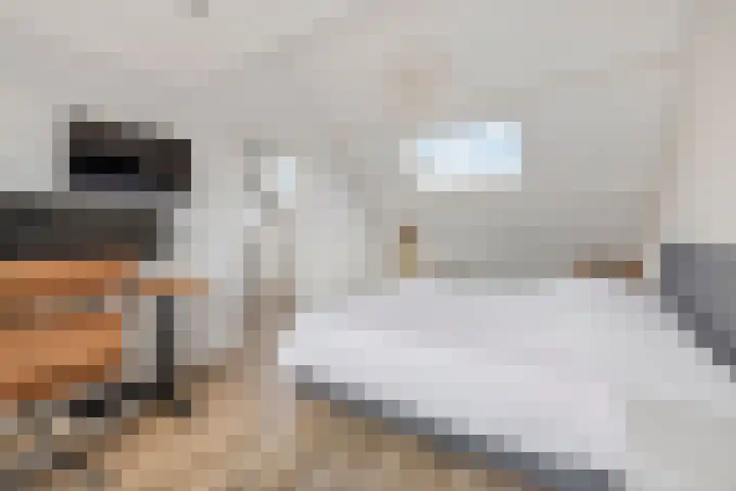 Oost en Vecht 24 Nigtevecht thumbnail 35